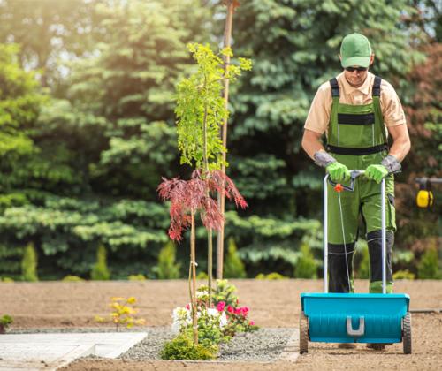 Palmer Lawn Care Monthly Lawn Care Plans