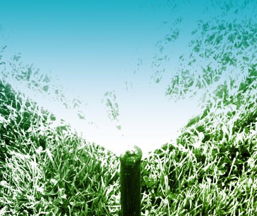 Palmer Lawn Care Sprinkler Drip and Valve Installation